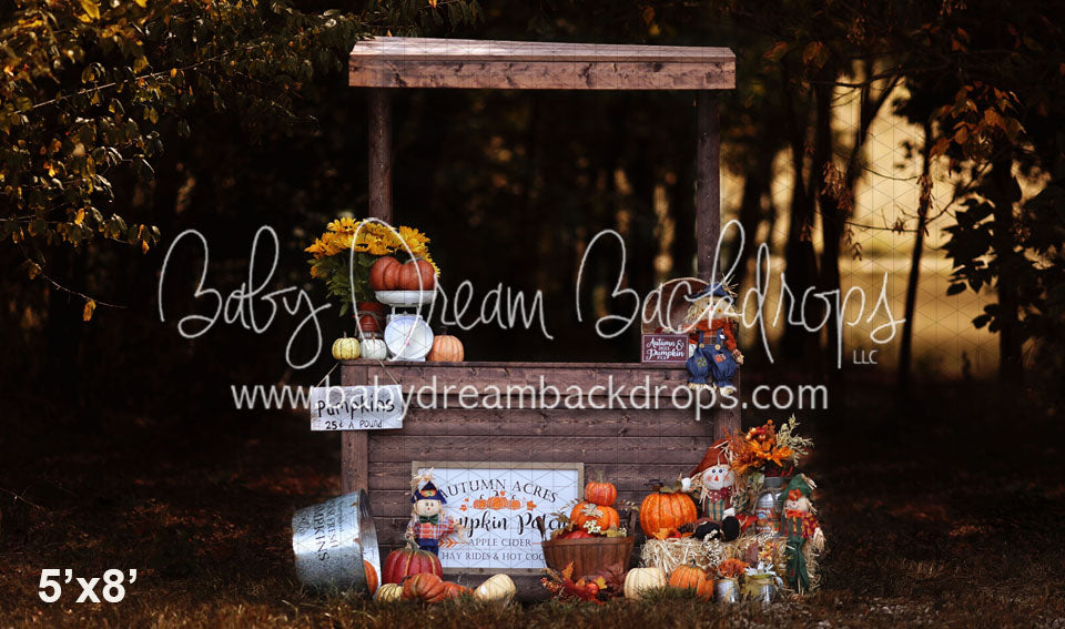 Pumpkins for Sale (LG)