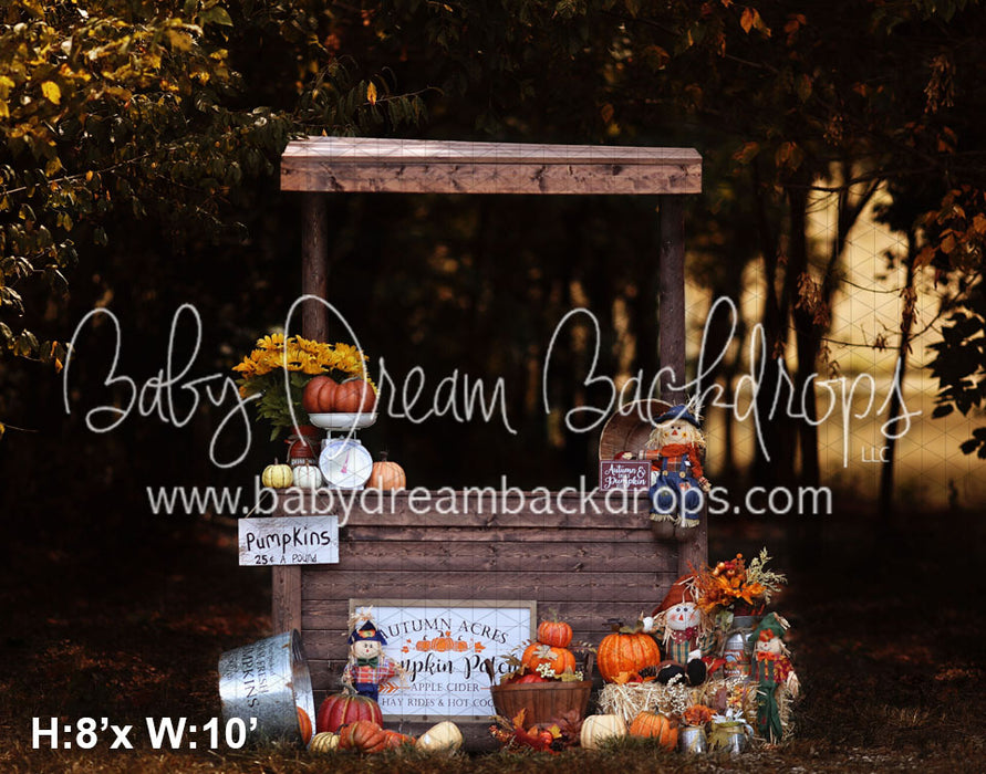 Pumpkins for Sale (LG)