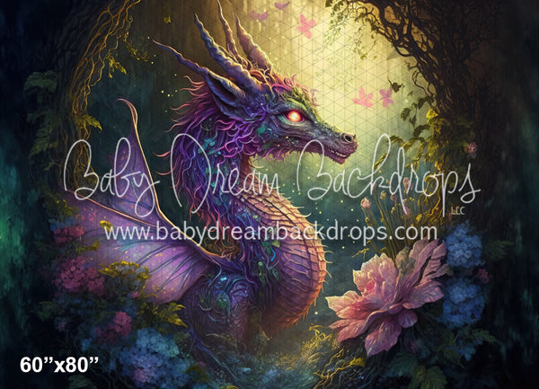fairies and dragons wallpapers