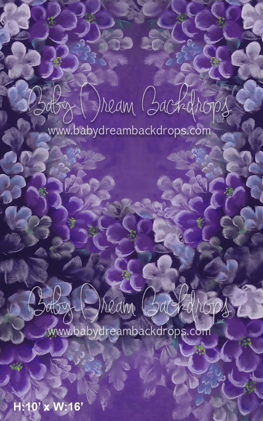 Sweeps Radiating Purple Flowers (BD)