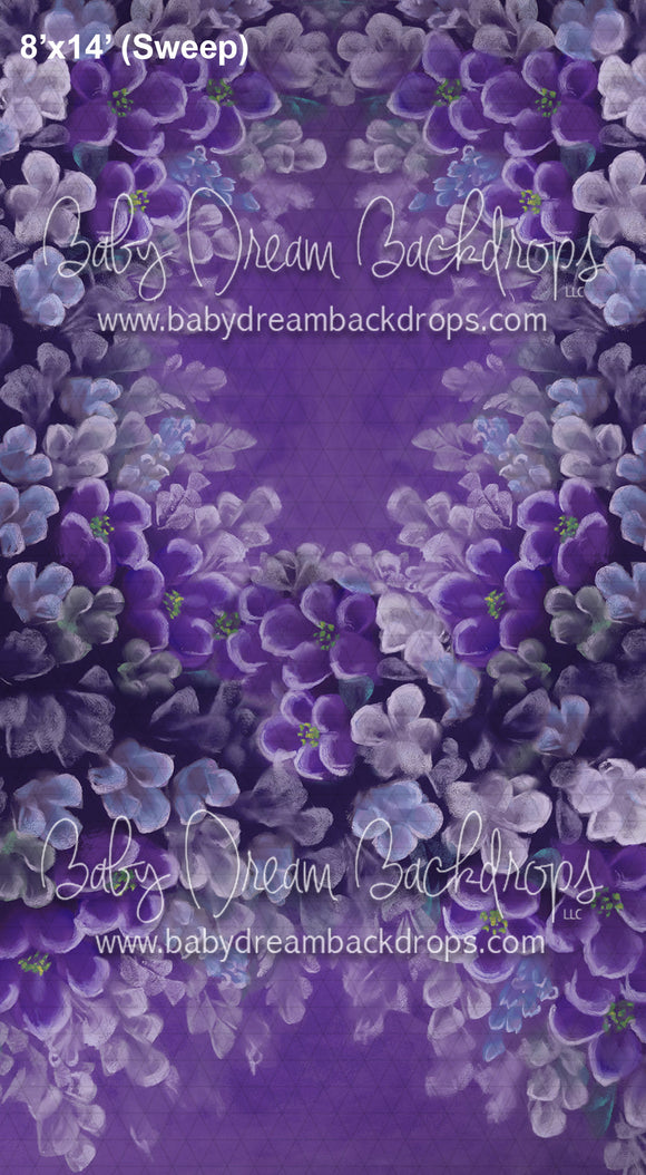 Sweeps Radiating Purple Flowers (BD)