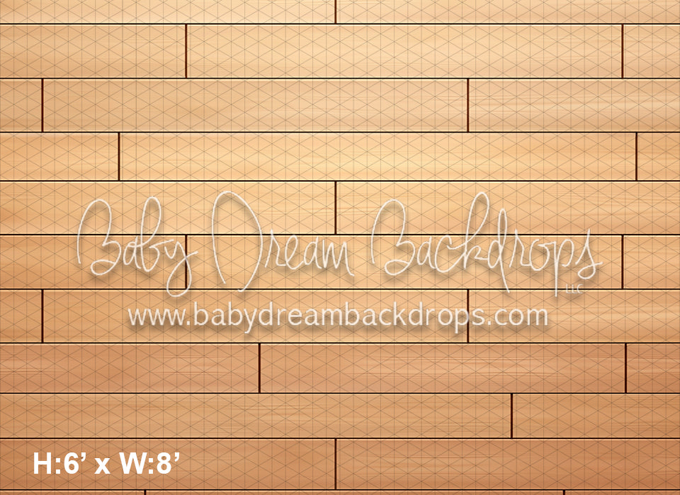 Rainbow Bridge Floor (AZ)