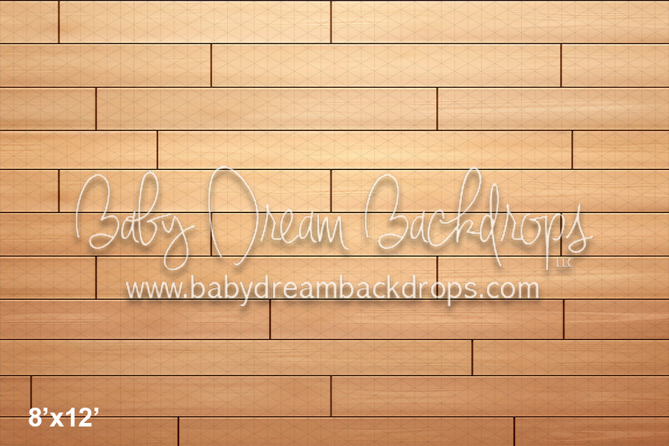 Rainbow Bridge Floor (AZ)