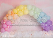 Rainbow Balloon Garland (SPP)
