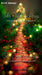 Sweeps Red and Green Christmas Walkway (SM)