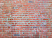 Red Brick Wall 60hx80w - SD (fleece)