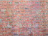 Red Brick Wall 6x8 - SD (fleece)