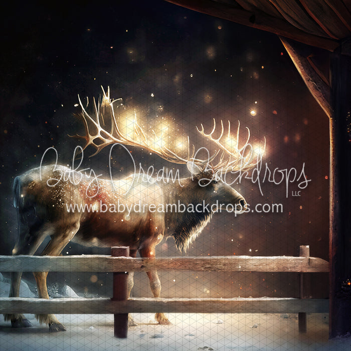Reindeer Barn Friend (MD)