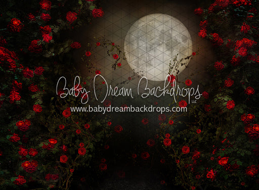 Rise of the Rose (CC)