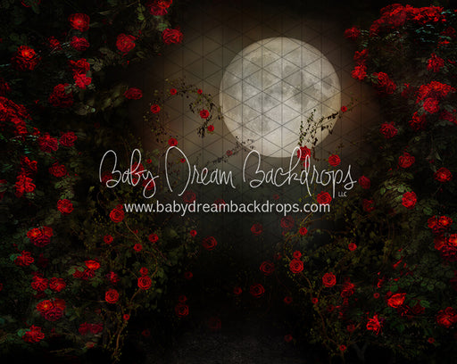 Rise of the Rose (CC)