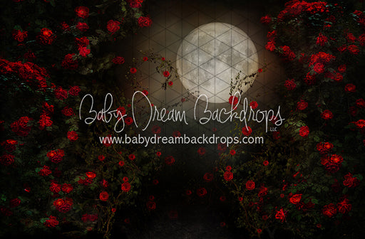 Rise of the Rose (CC)