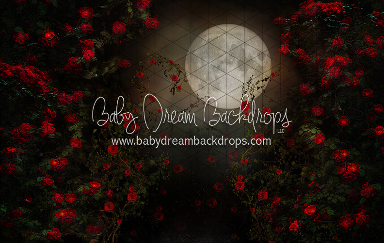 Rise of the Rose (CC)