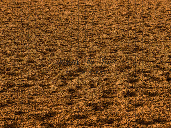 Rodeo Arena Dirt Fabric Floor (JG)