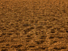 Rodeo Arena Dirt Fabric Floor (JG)