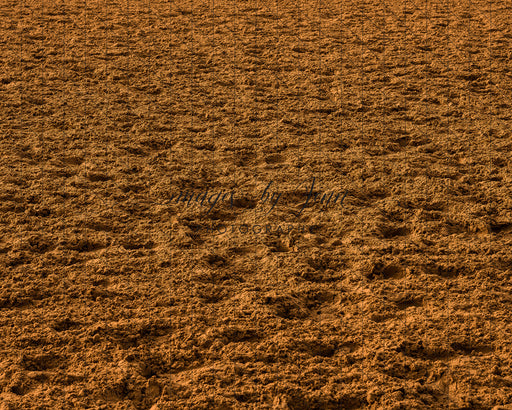 Rodeo Arena Dirt Fabric Floor (JG)