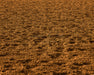 Rodeo Arena Dirt Fabric Floor (JG)