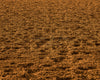 Rodeo Arena Dirt Fabric Floor (JG)