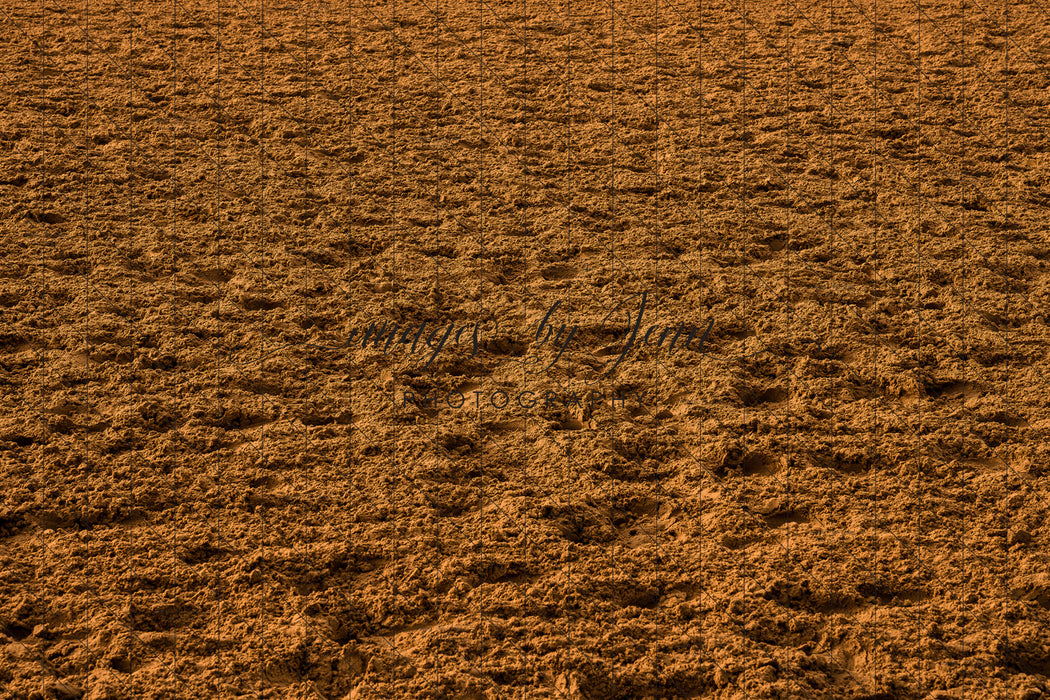 Rodeo Arena Dirt Fabric Floor (JG)
