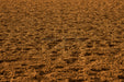 Rodeo Arena Dirt Fabric Floor (JG)