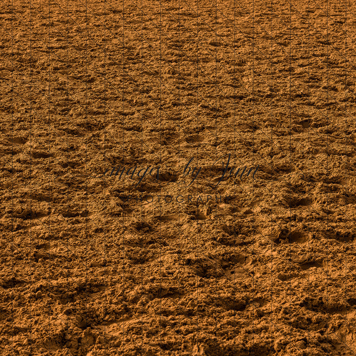 Rodeo Arena Dirt Fabric Floor (JG)
