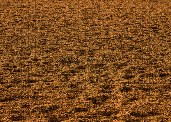 Rodeo Arena Dirt Floor (JG)