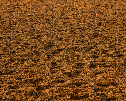 Rodeo Arena Dirt Floor (JG)