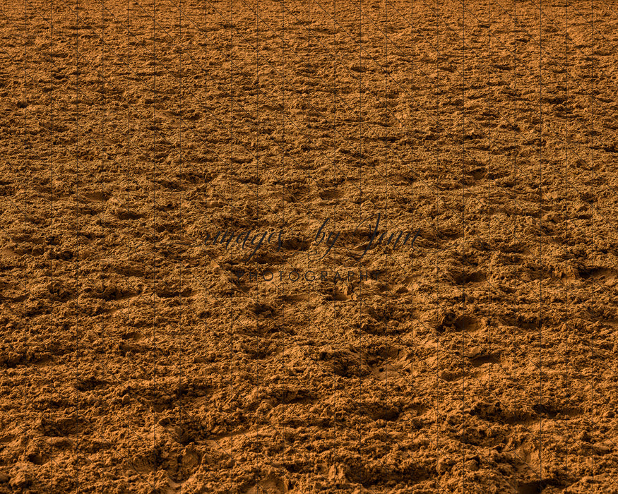 Rodeo Arena Dirt Floor (JG)