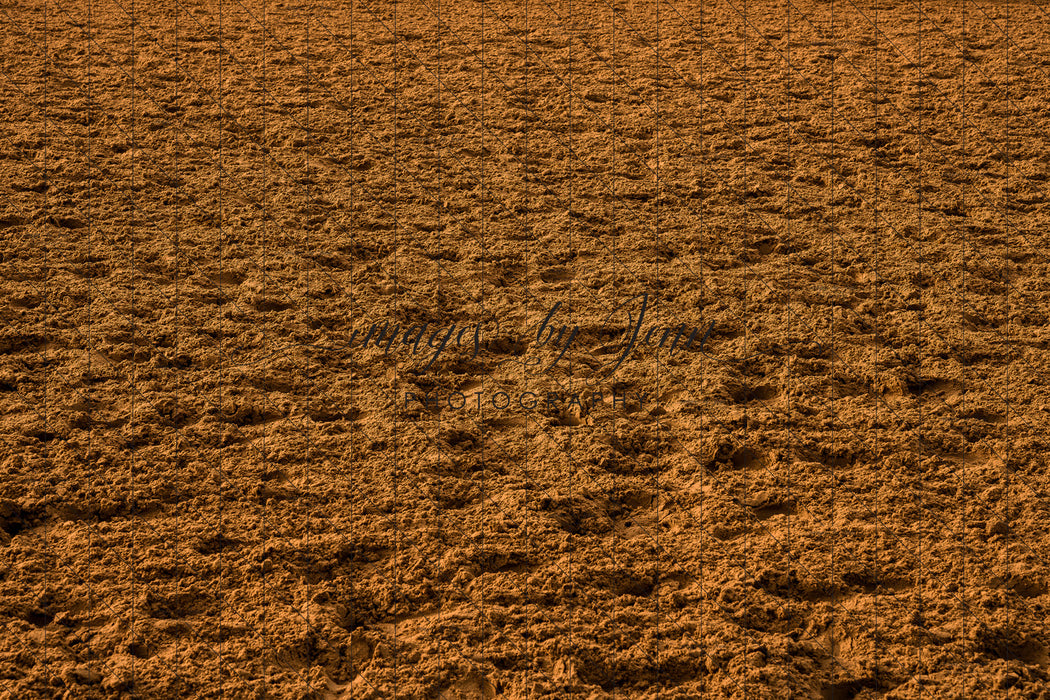 Rodeo Arena Dirt Floor (JG)