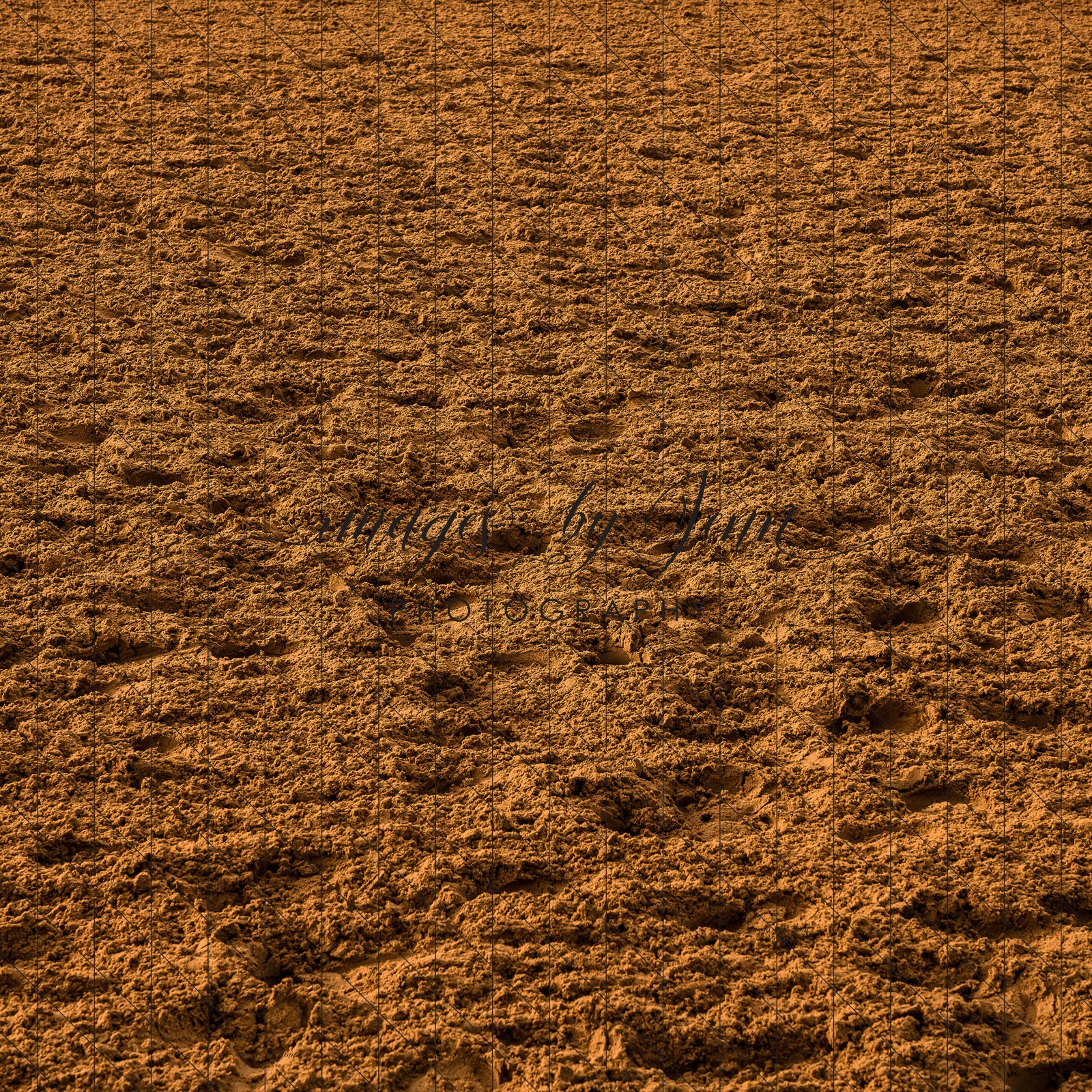 Rodeo Dirt Background Rodeo Arena Dirt Floor (JG) – Baby Dream Backdrops
