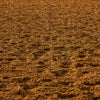 Rodeo Arena Dirt Floor (JG)