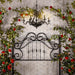 Romance Dream Queen Headboard Chandelier