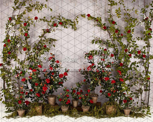 Romance Garden Wall