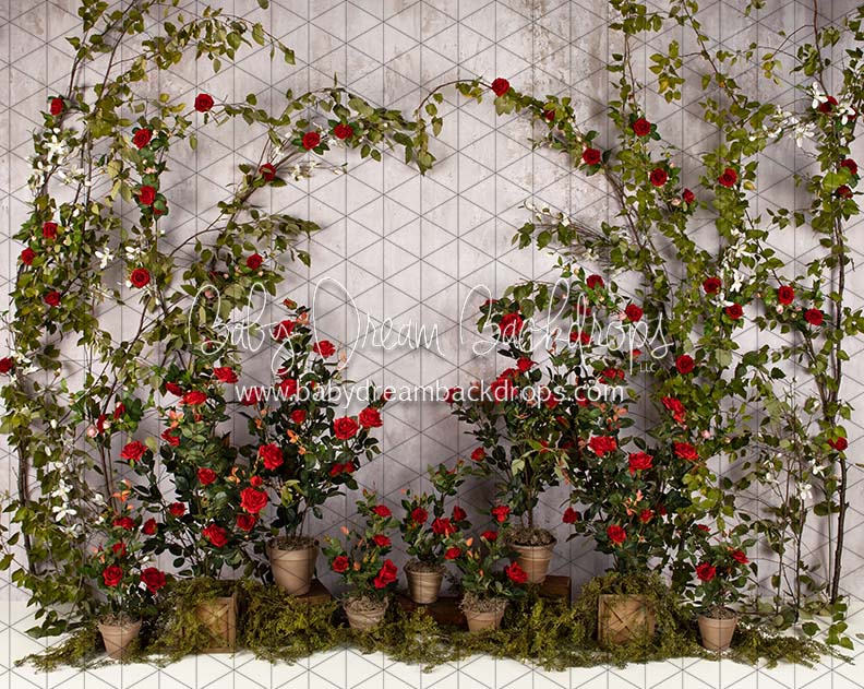 Romance Garden Wall
