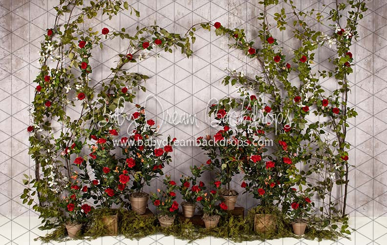 Romance Garden Wall