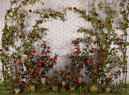 Romance Garden Wall (Grass)