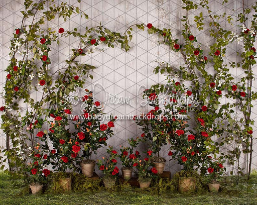 Romance Garden Wall (Grass)