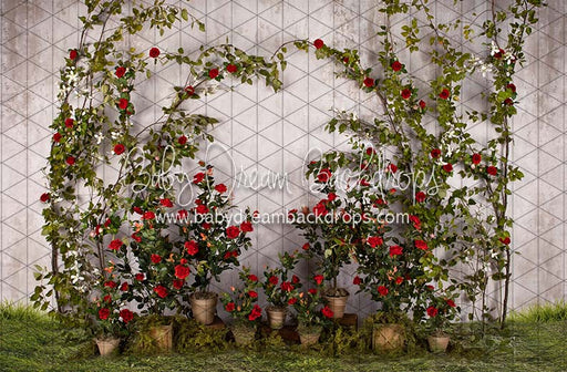 Romance Garden Wall (Grass)