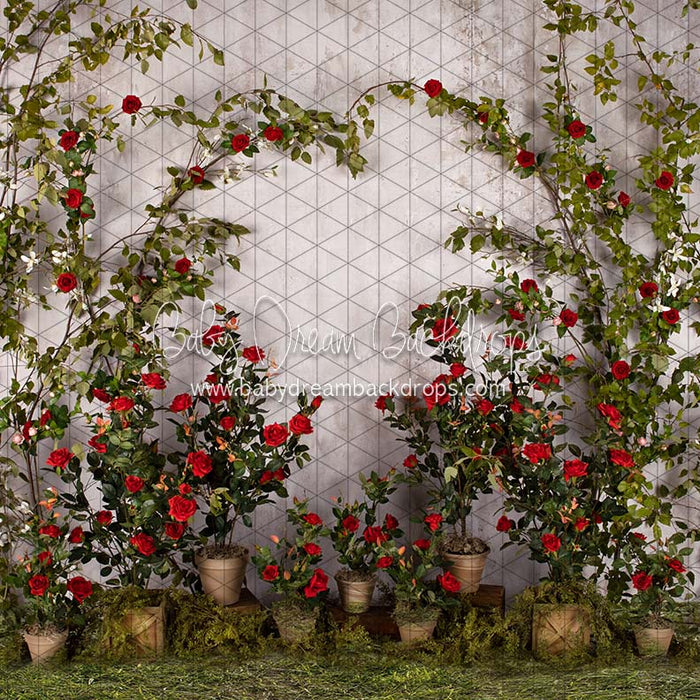 X Drop romance garden wall grass