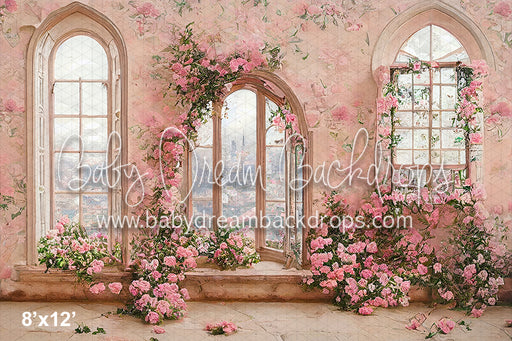 Romance View (BD)