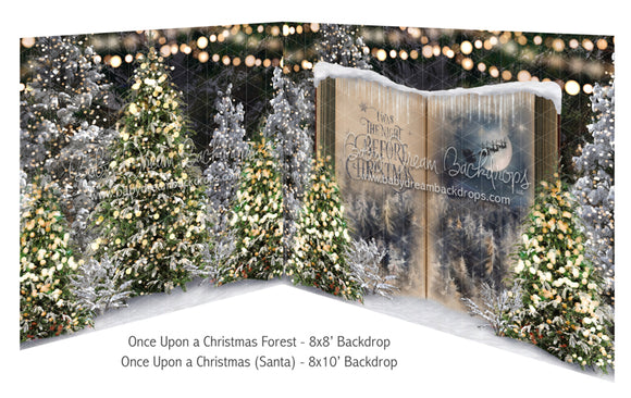 Once Upon a Christmas Forest and Once Upon a Christmas Santa