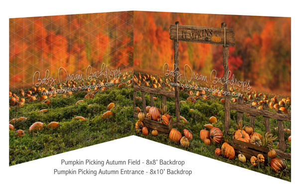 Pumpkin Picking Autumn Field and Pumpkin Picking Autumn Entrance Room
