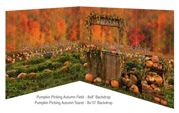 Pumpkin Picking Autumn Field and Pumpkin Picking Autumn Stand