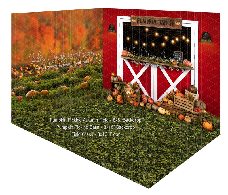 Pumpkin Picking Autumn Field and Pumpkin Picking Barn Room