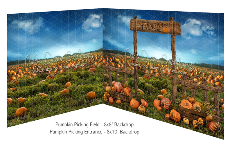 Pumpkin Picking Field and Pumpkin Picking Entrance