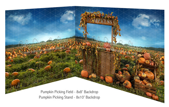Pumpkin Picking Field and Pumpkin Picking Stand