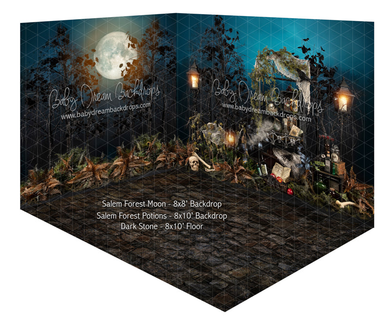 Salem Forest Moon and Salem Forest Potions Room