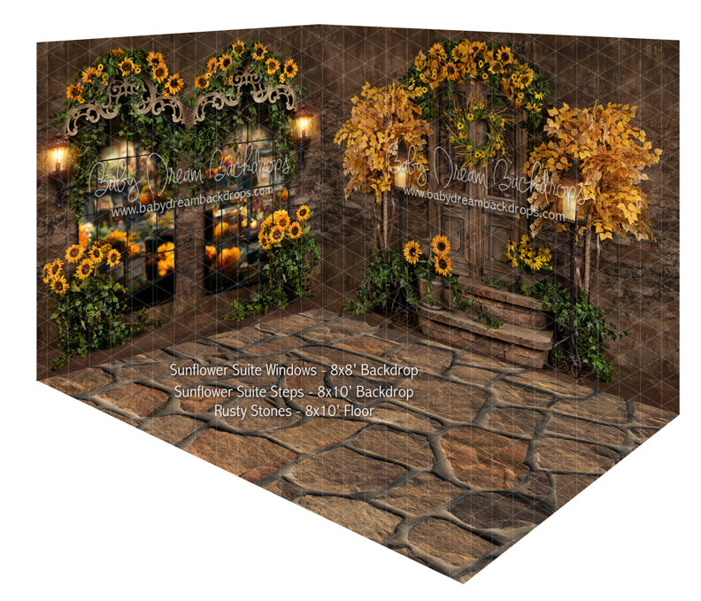 Sunflower Suite Steps and Sunflower Suite Windows Room