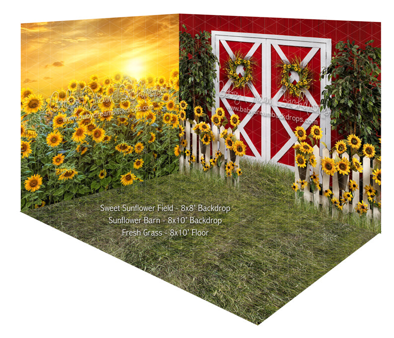 Sweet Sunflower Field and Sunflower Barn Room