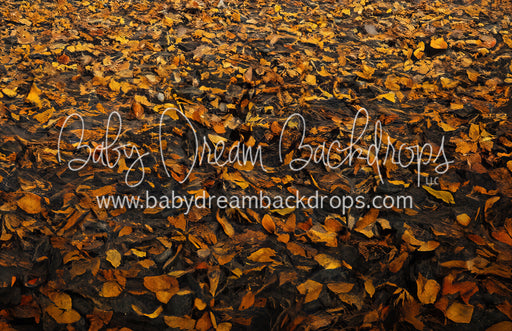 Rustic Autumn Barn Fabric Floor (MD)