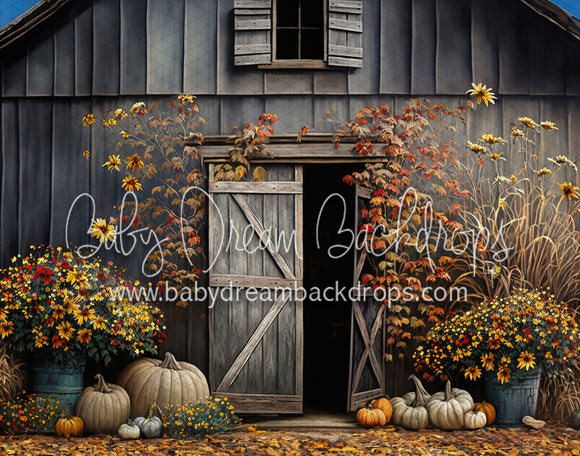 Rustic Autumn Barn (MD)